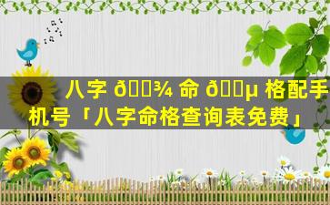 八字 🌾 命 🌵 格配手机号「八字命格查询表免费」